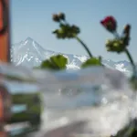 Апартаменты Breierhof *