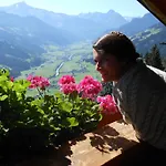 Breierhof Цель-ам-Циллер