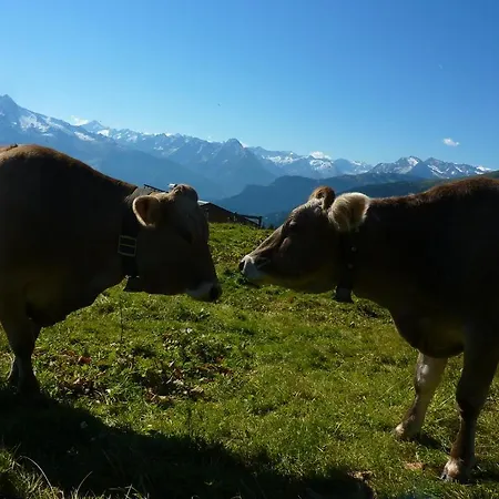 Apartamento Breierhof *