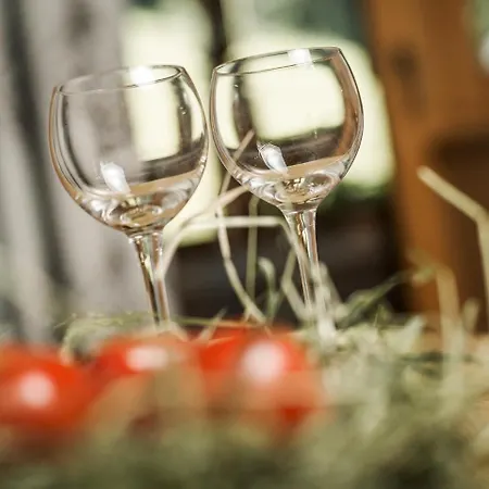 Breierhof アパート ツェル・アム・ツィラー