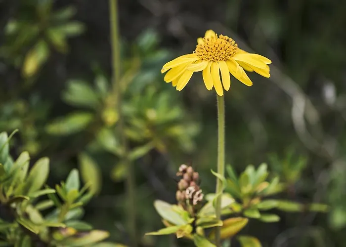 アパート Breierhof *