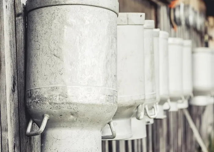 Breierhof アパート ツェル・アム・ツィラー