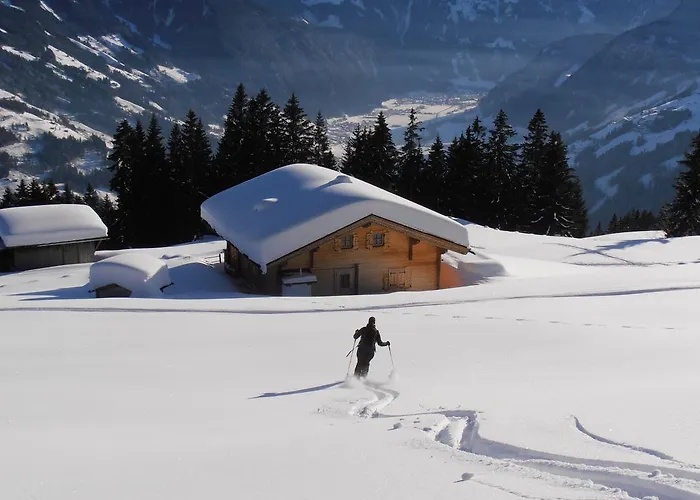 アパート Breierhof ツェル・アム・ツィラー