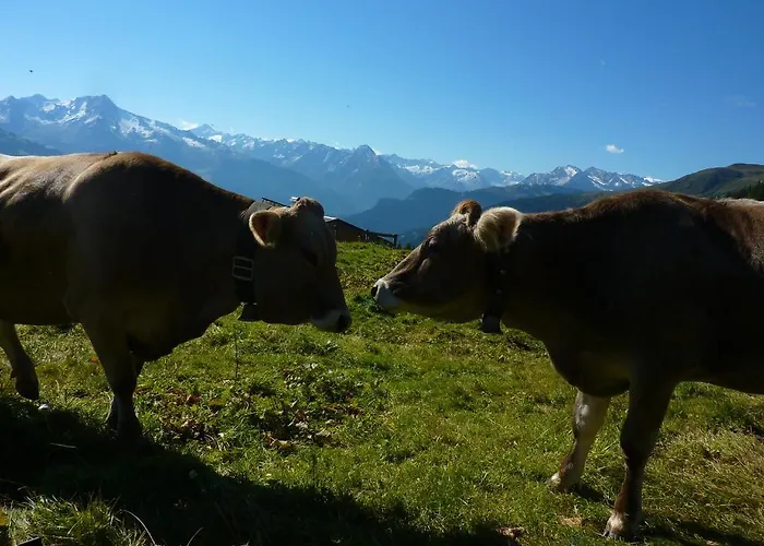 アパート Breierhof *