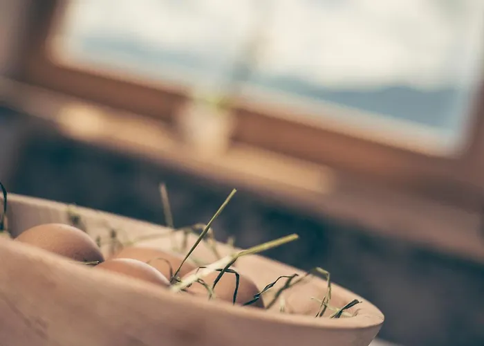 アパート Breierhof ツェル・アム・ツィラー