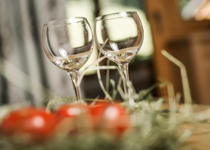 Breierhof アパート ツェル・アム・ツィラー